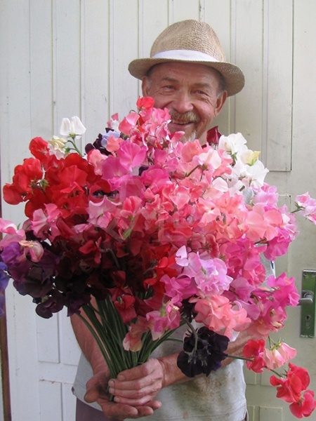 Agro Šķirņu Mix